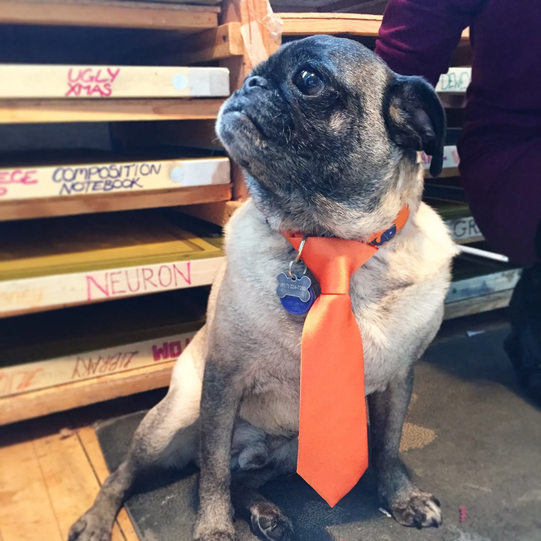 Custom Color Printed Kid Size Ties